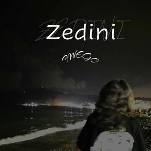 zedini