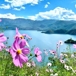 反正你已不爱我