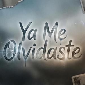 Ya me olvidaste