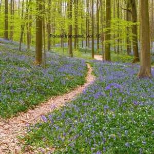 La bataille commença