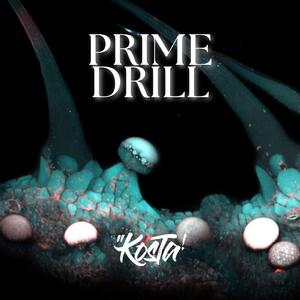 Prime Drill (feat. eurocoffin, SWD057 & 100/10)