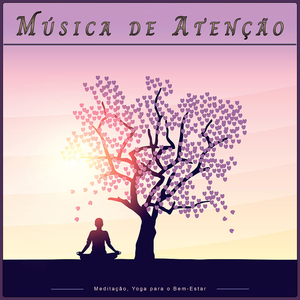 Meditação e Relaxamento