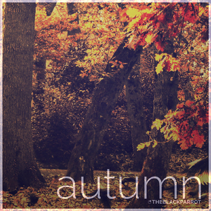 Autumn
