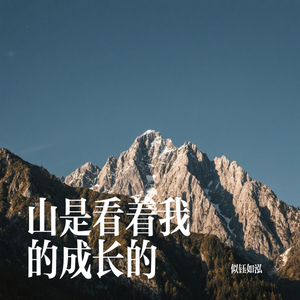 我有一座山