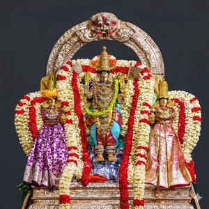 திருப்புகழ் 691 இகல வருதிரை (திருமயிலை)