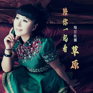 陪你一起看草原 (Dj版)