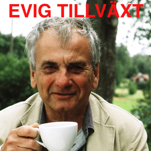 Evig tillväxt