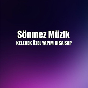 KELEBEK ÖZEL YAPIM KISA SAP
