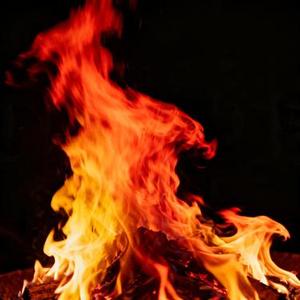 我一身清贫怎敢入繁华 (Cover T1)