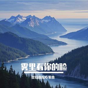 雾里看你的脸