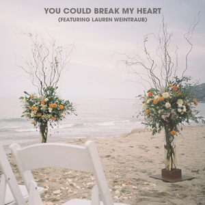 You Could Break My Heart (feat. Lauren Weintraub)