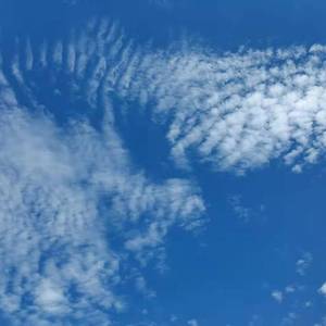 恭喜恭喜纯音乐