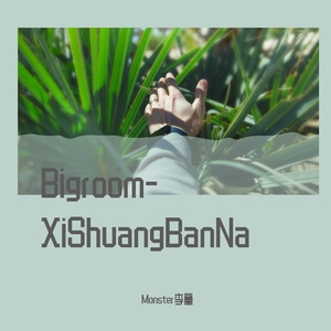 Bigroom-XiShuangBanNa(Extended Mix)