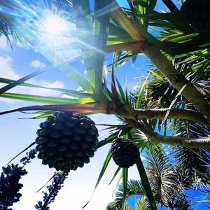 Hasanjan（Orginal）Mix