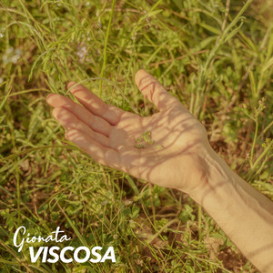 Viscosa