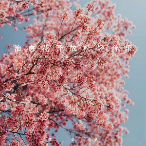 跨时空的思念 (轻音乐)