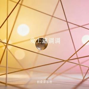 爱上这调调