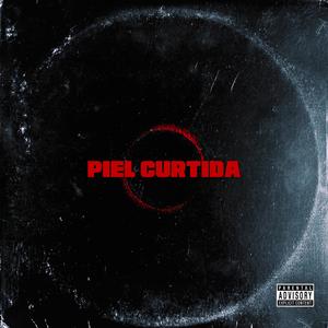 Piel Curtida