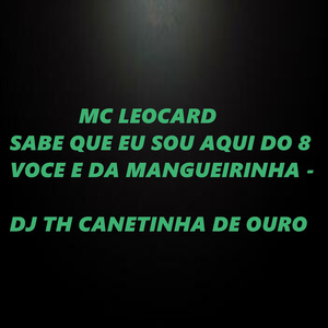 Sabe Que Eu Sou Aqui do 8 Voce e da Mangueirinha