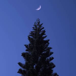 打回原形（翻自 Eason）