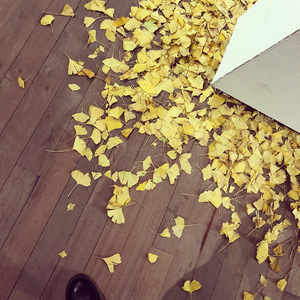 那个人（翻自 周延英）