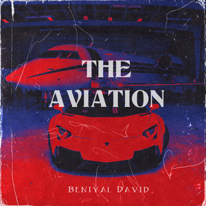 The Aviation