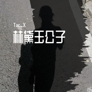 林黛玉公子(Prod.費奈爾蘭德)