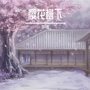 樱花树下