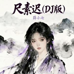 尺素迟(DJ-lucky小阳版)(伴奏)