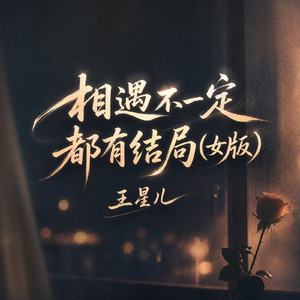 相遇不一定都有结局(女版)