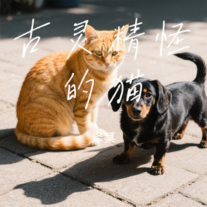 古灵精怪的猫