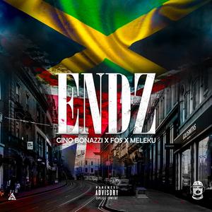 ENDZ (feat. Meleku & F.O.S)