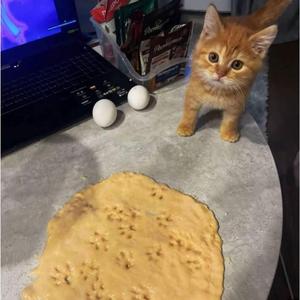 DIA DELÍCIA (slowed)