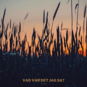 VAD VAR DET JAG SA?