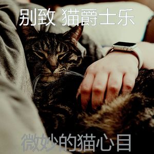 有趣小猫情怀