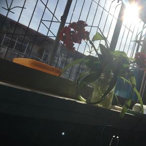 闲