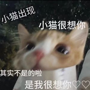 想想念念（翻自 FAFA / 雪二 ）