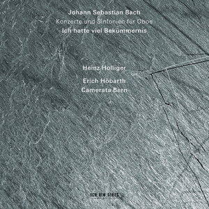 Cantata, BWV 12, "Weinen, Klagen, Sorgen, Zagen":Sinfonia zur Kantate "Weinen, Klagen, Sorgen, Zagen", BWV 12