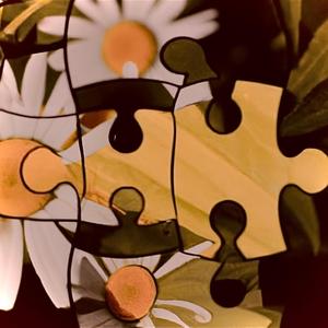 Life's Puzzle (Live Performance)