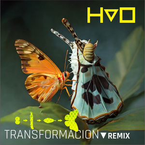 Transformación (Remix)