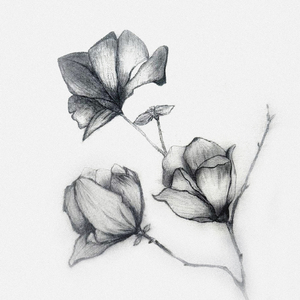 ей (27.05.25) (Outro)