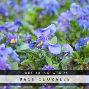 Sanctus Sanctus Dominus Deus Sabaoth (BWV 325)