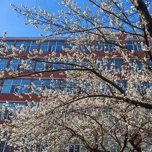 泪话（prod by N2U-Beatz）