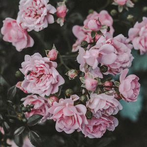 ＂麻醉＂人声采样/R&B/Drake Type Beat