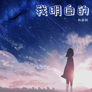 我明白的（DJ）