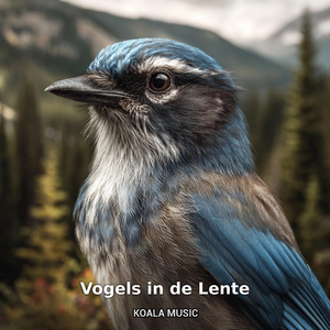 Voorjaarsvogels in de Ochtendmist, Pt.18