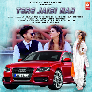 Tere Jaisi Nah