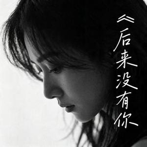 后来没有你