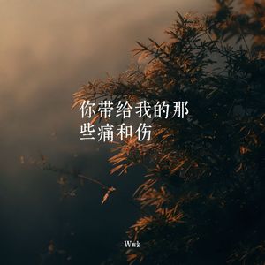 你带给我那些痛和伤