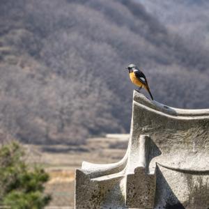 잊혀진 것이 아니에요
